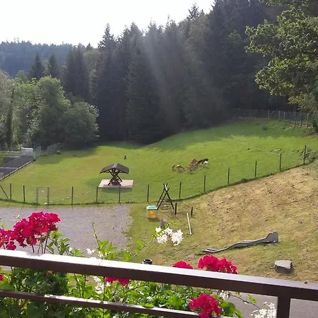 Hotel-restaurant Jaegerhof 3* Unterreichenbach