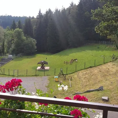 Hotel-restaurant Jägerhof 3* Unterreichenbach
