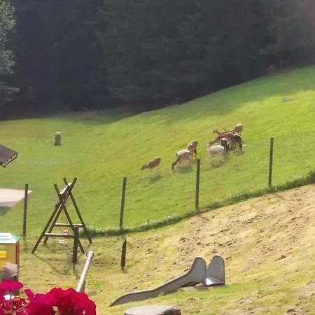 Hotel Hotel-restaurant Jaegerhof